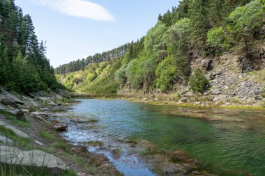 Pontypool Yeşil Göl Gölü ve Gökyüzü Manzarası Yaz Günü