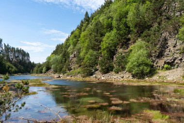 Pontypool Yeşil Göl ve Mavi Gök Yaz Günü