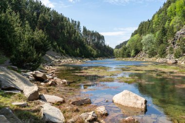 Pontypool Yeşil Göl Yaz Günü Göl Manzarası