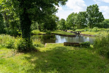 Su Kanalı Yaz Günü Yeşil Renkler