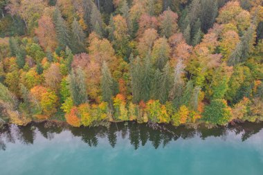 Autumn landscape at St. Ana Lake, in the heart of Transylvania, Romania
