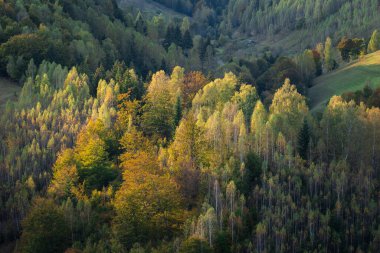 Autumn in the Romanian village. Rural landscape in the Carpathian Mountains, Romania