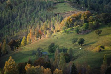 Autumn in the Romanian village. Rural landscape in the Carpathian Mountains, Romania
