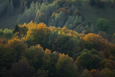 Autumn in the Romanian village. Rural landscape in the Carpathian Mountains, Romania