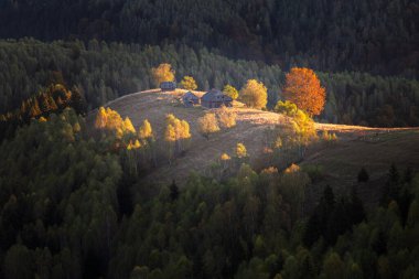 Autumn in the Romanian village. Rural landscape in the Carpathian Mountains, Romania