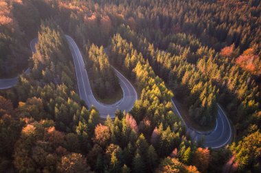 Aeria autumn view of the mountain road crossing a beautiful pine and deciduous forest