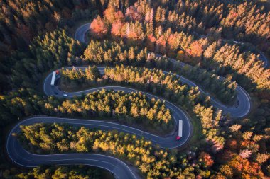 Aeria autumn view of the mountain road crossing a beautiful pine and deciduous forest