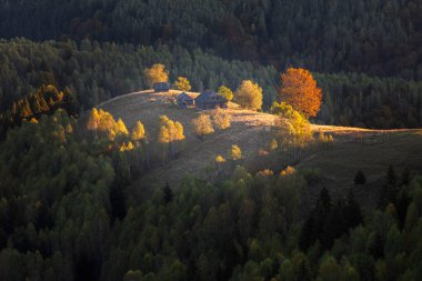 Autumn in the Romanian village. Rural landscape in the Carpathian Mountains, Romania