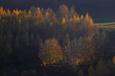 Autumn in the Romanian village. Rural landscape in the Carpathian Mountains, Romania
