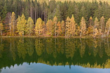 Autumn landscape at St. Ana Lake, in the heart of Transylvania, Romania