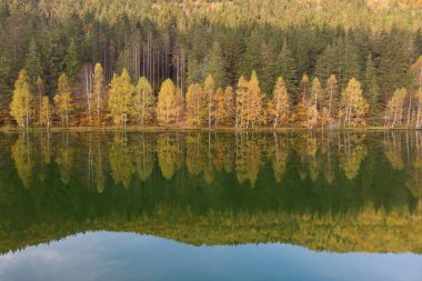 Autumn landscape at St. Ana Lake, in the heart of Transylvania, Romania