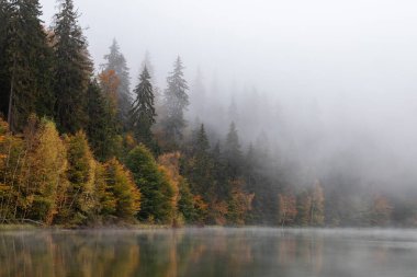 Autumn landscape at St. Ana Lake, in the heart of Transylvania, Romania
