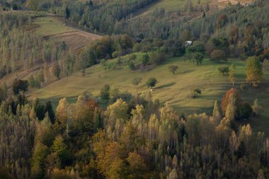 Autumn in the Romanian village. Rural landscape in the Carpathian Mountains, Romania