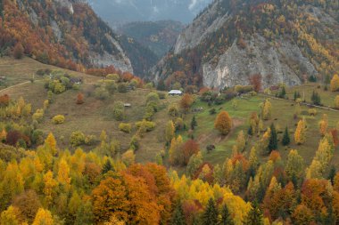 Autumn in the Romanian village. Rural landscape in the Carpathian Mountains, Romania