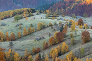 Autumn in the Romanian village. Rural landscape in the Carpathian Mountains, Romania