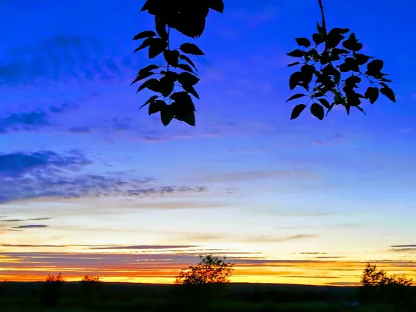 Красивое Небо Заката Летний Пейзаж — стоковое фото