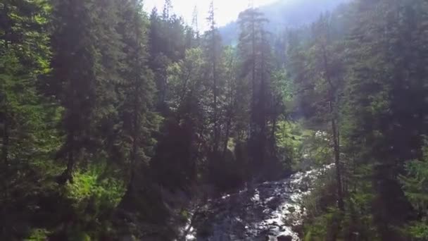美しいGleirschklamm Isarソースの手付かずの滝の空中ショット — ストック動画