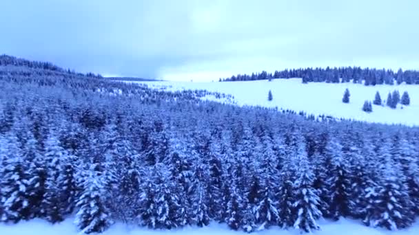 Aerial Shot Snow Kopaonik Mountain Winter Cloudy Day Serbia — Vídeos de Stock