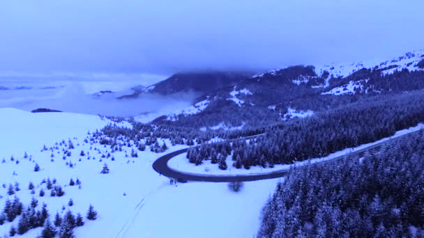 Luftaufnahme Von Schnee Auf Dem Berg Kopaonik Winter Einem Bewölkten — Stockvideo