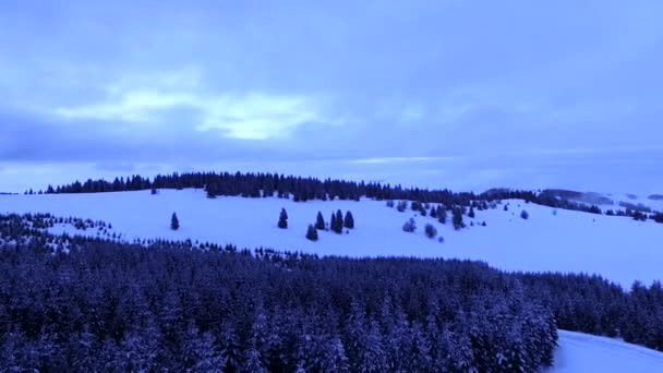 Luftaufnahme Von Schnee Auf Dem Berg Kopaonik Winter Einem Bewölkten — Stockvideo