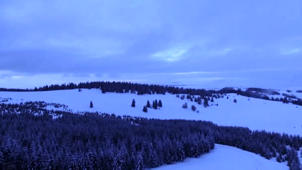 Luchtfoto Van Sneeuw Kopaonik Berg Winter Een Bewolkte Dag Servië — Stockvideo
