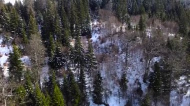 Karlı dağın hava görüntüleri, Kopaonik, Sırbistan