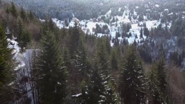 Karlı dağın hava görüntüleri, Kopaonik, Sırbistan