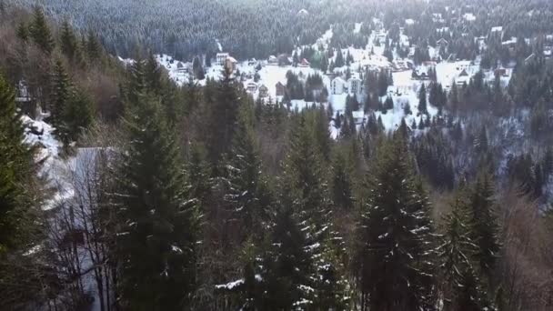 Flygfoto Snöiga Berg Kopaonik Serbien — Stockvideo