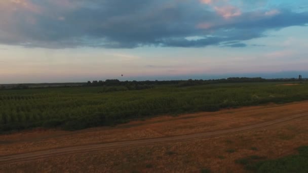 Luchtopname Van Een Hete Lucht Ballon Die Een Groen Veld — Stockvideo