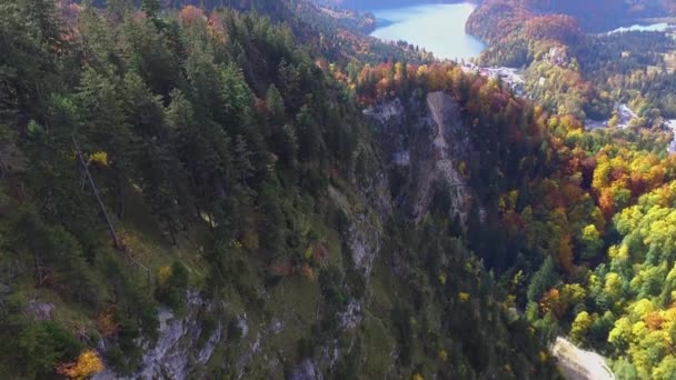 Luftaufnahme des wunderschönen Märchenschlosses Neuschwanstein in Bayern