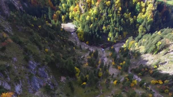 Foto Aerea Del Bellissimo Castello Neuschwanstein Bayern Germania — Video Stock