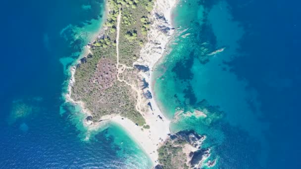 Вид Воздуха Голубую Морскую Воду Полуострове Ситония Зелеными Деревьями Греции — стоковое видео