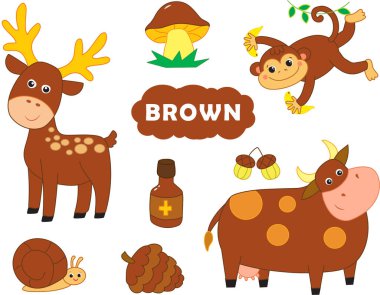 Kahverengi eşyalar. Çocuklar için temel renklerle ilgili görsel sözlük. vektör illüstrasyonu