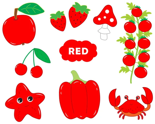 Set Roter Artikel Visuelles Wörterbuch Für Kinder Über Grundfarben Vektorillustration — Stockvektor