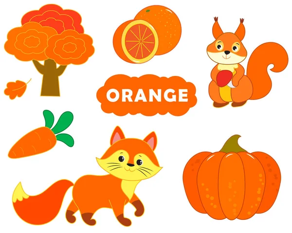 Set Orange Items Visual Dictionary Children Primary Colors Vector Illustration — Stock Vector