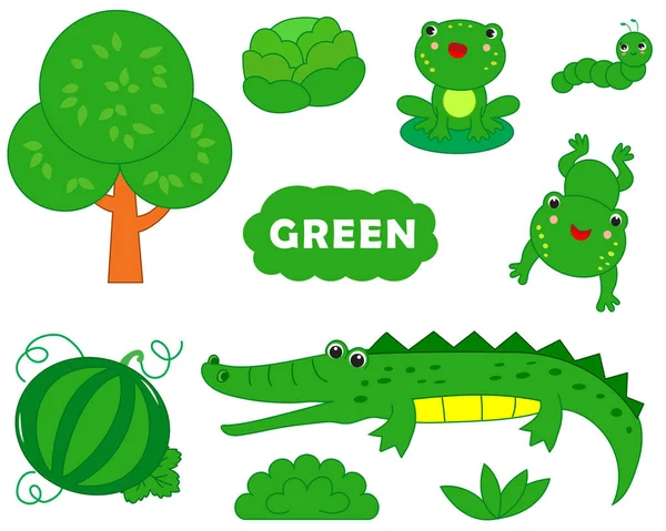 Set Green Items Visual Dictionary Children Primary Colors Vector Illustration — Stock Vector