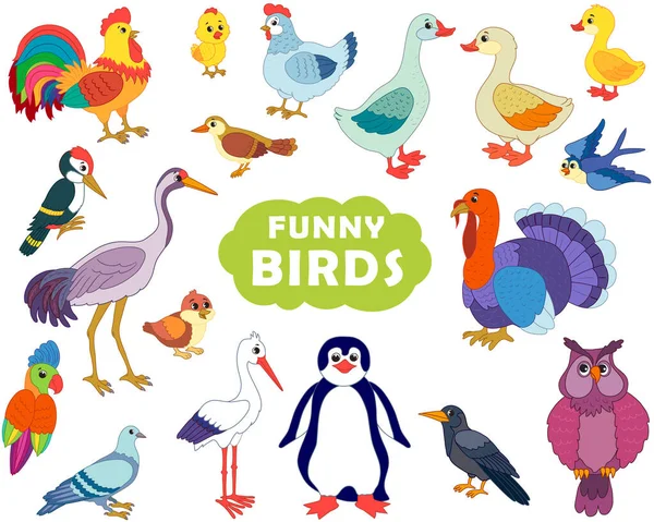 Set Wild Domestic Birds Funny Cartoon Style Vector Illustration — стоковый вектор
