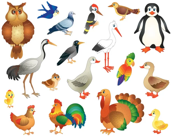 Zestaw Dzikich Domowych Ptaków Zabawnym Stylu Kreskówki Ilustracja Wektora — Wektor stockowy