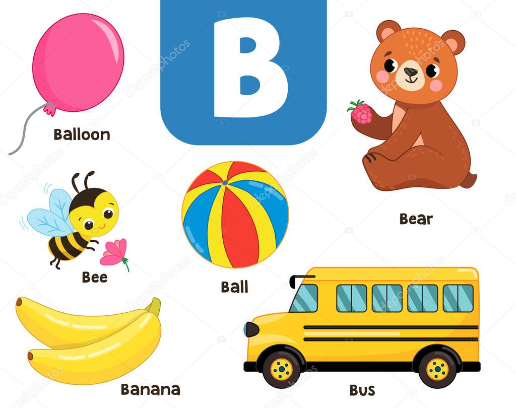 English alphabet in pictures  Children's colored letter B