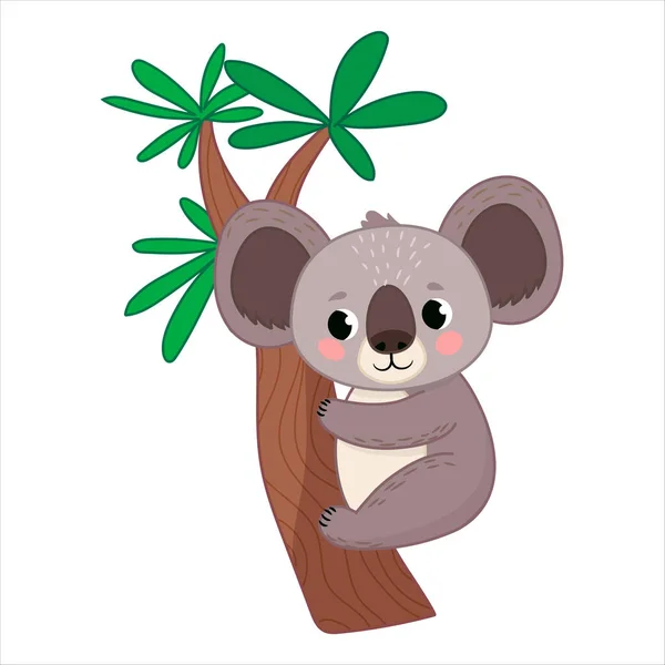 Смешное Австралийское Животное Изолировано Прозрачном Фоне Векторная Иллюстрация Зоопарк — стоковый вектор