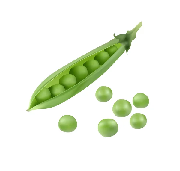Realistic Vegetable Isolated Transparent Background High Quality Vector — ストックベクタ