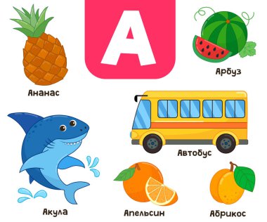 Russian alphabet. Written in Russian - pineapple, watermelon, shark, apricot, bus