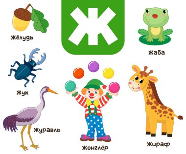 Russian alphabet. Written in Russian acorn, beetle, juggler, crane, toad, giraffe