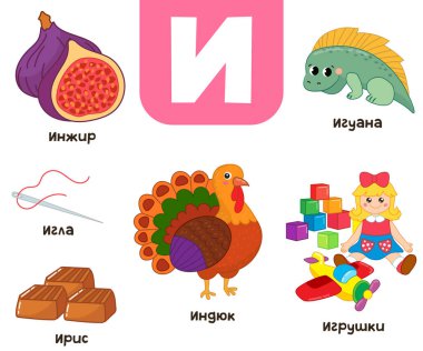 Rus alfabesi. Rus inciri, irisi, iğnesi, hindisi, oyuncağı, iguanası ile yazılmış.