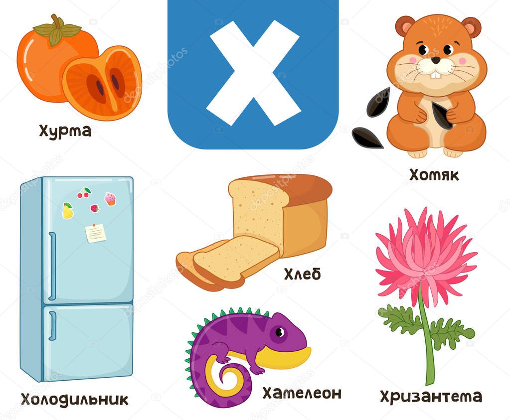 Russian alphabet. Written in Russian refrigerator, persimmon, hamster, bread, chrysanthemum, chameleon