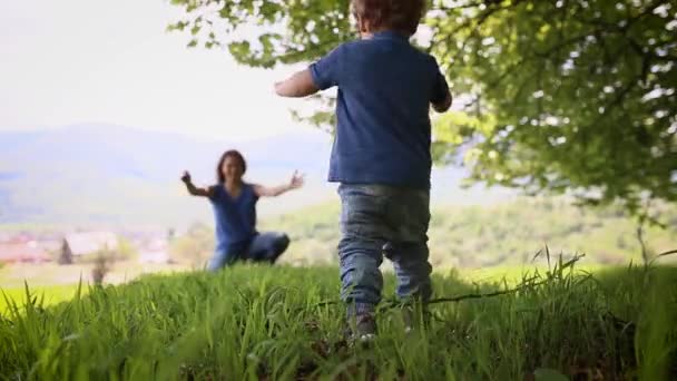 A two-year-old boy runs in his mother. She hugs him. Blurred background in the mountains. — Stockvideo