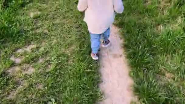 The child runs on the green grass. Video. — Wideo stockowe