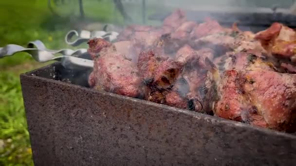 Shish kebab se fríe en la parrilla — Vídeos de Stock