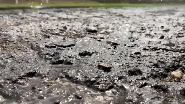 Raindrops fall on the ground. Slow motion video — Αρχείο Βίντεο