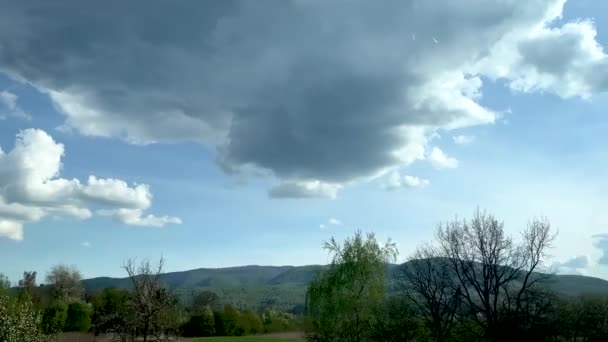 Landscape of forest and mountains outside the window of a passing car — Video